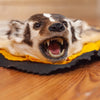 Excellent Badger Rug Taxidermy Mount GB4101