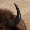 Excellent American Bison Taxidermy Shoulder Mount GB4213