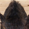 Cabin Grade Wild Hog Boar Hog Taxidermy Shoulder Mount KG3060