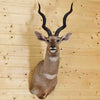 Taxidermy Mounts for Sale