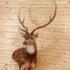 Premier Axis Deer Shoulder Mount Taxidermy MM5001