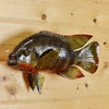 Mounted Reproduction Fish Mounts