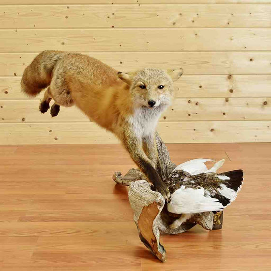 Red Fox and Ptarmigan Taxidermy Mount for Sale