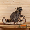 novelty raccoon full body taxidermy mount paddling canoe for sale