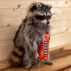 Candy Coon Novelty Raccoon Taxidermy Mount SW10491