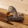 Baby Opossum on Log Full Body Taxidermy Mount SW10506