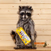 candy raccoon peanut M&M taxidermy mount for sale