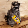 Excellent Full Body Raccoon with Candy M&M's Taxidermy Mount SW10557