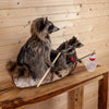 Raccoon and Kits Fishing in Canoe Taxidermy Mount SW10568