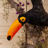 Premier Toco Toucan Taxidermy Reproduction SW10628