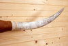 Longhorn Steer Horn Mount approximately 66" Width SW10661
