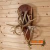 Excellent Whitetail Antler Wall Sconce SW10679