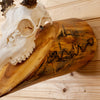 Excellent 8 Point Whitetail Buck Deer Skull & Antlers European Log Mount SW10708