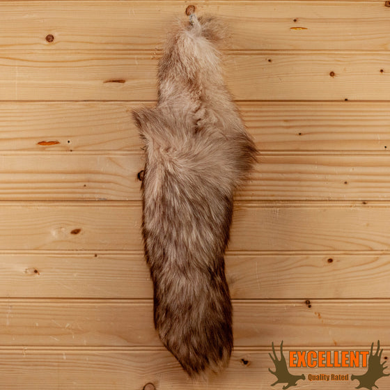 blue fox tail for sale