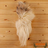 Arctic crossbreed fox tail for sale