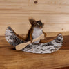 Juvenile Fox Squirrel Paddling a Canoe Taxidermy Mount SW10947