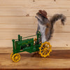 Squirrel Driving John Deere Tractor Full Body Taxidermy Mount SW10970
