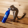 Drunk Squirrel Taxidermy Mount Budweiser SW11068