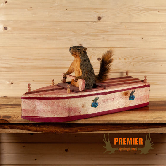 squirrel full body taxidermy in handcrafted boat for sale