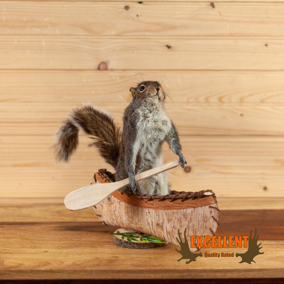 taxidermy squirrel paddling birch bark canoe for sale