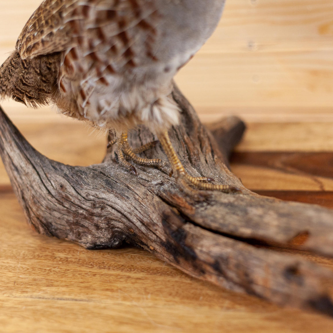 Carved Driftwood Branch with Bird Accents