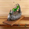 beer driking armadillo reproduction mount for sale