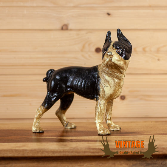 vintage french bulldog cast iron bank for sale