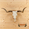 longhorn steel skull mount for sale