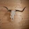 Excellent Horned Steer Skull Wall Mount SW11263