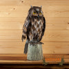 tin metal owl art sculpture for sale