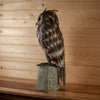 Excellent Tin Metal Owl Art SW11281