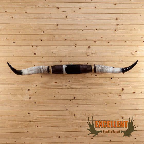 longhorn steer horns longhorns for sale