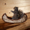 Eastern Gray Squirrel Paddling a Canoe Taxidermy Mount SW11299