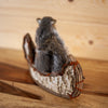 Eastern Gray Squirrel Paddling a Canoe Taxidermy Mount SW11299
