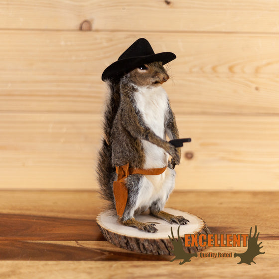 eastern gray squirrel cowboy novelty taxidermy mount for sale