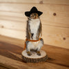 Cowboy Squirrel Taxidermy Mount SW11307